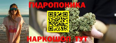 Альфа ПВП Балаково